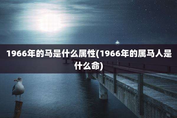 1966年的马是什么属性(1966年的属马人是什么命)