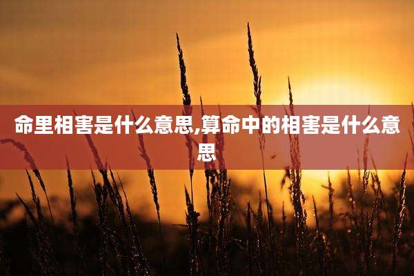 命里相害是什么意思,算命中的相害是什么意思