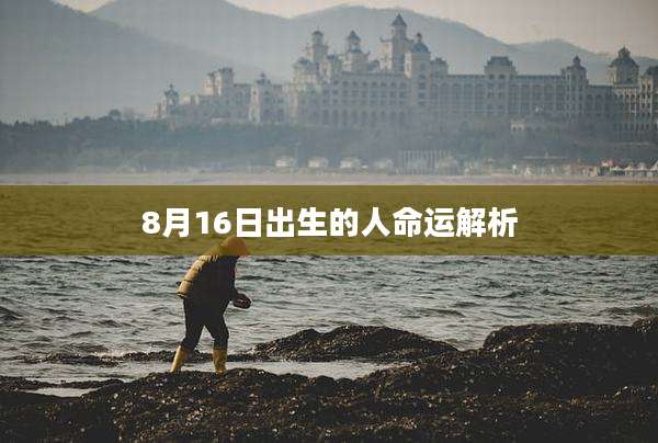 8月16日出生的人命运解析