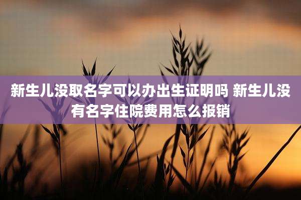 新生儿没取名字可以办出生证明吗 新生儿没有名字住院费用怎么报销