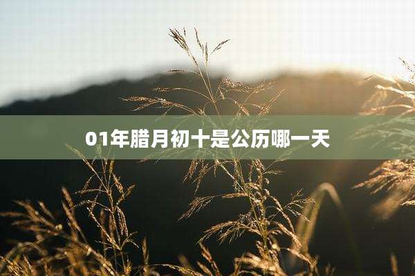 01年腊月初十是公历哪一天