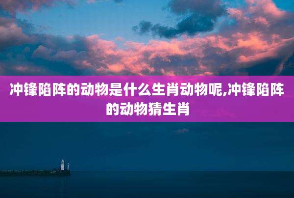 冲锋陷阵的动物是什么生肖动物呢,冲锋陷阵的动物猜生肖