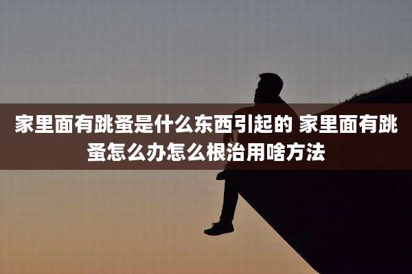 家里面有跳蚤是什么东西引起的 家里面有跳蚤怎么办怎么根治用啥方法