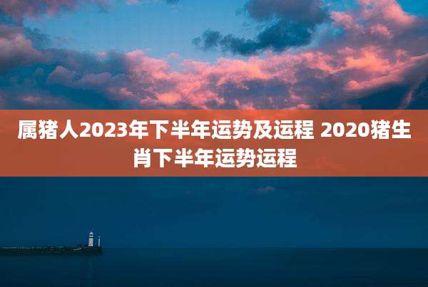 属猪人2023年下半年运势及运程 2020猪生肖下半年运势运程