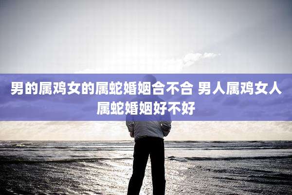 男的属鸡女的属蛇婚姻合不合 男人属鸡女人属蛇婚姻好不好