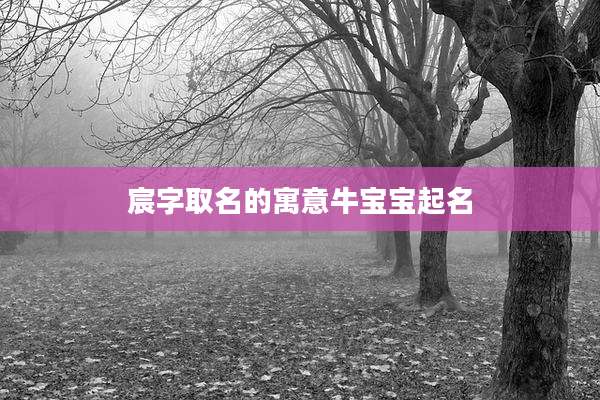 宸字取名的寓意牛宝宝起名