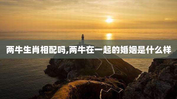 两牛生肖相配吗,两牛在一起的婚姻是什么样