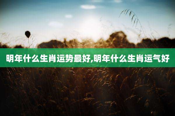 明年什么生肖运势最好,明年什么生肖运气好