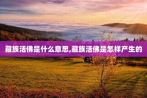 藏族活佛是什么意思,藏族活佛是怎样产生的
