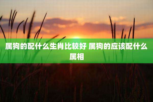 属狗的配什么生肖比较好 属狗的应该配什么属相
