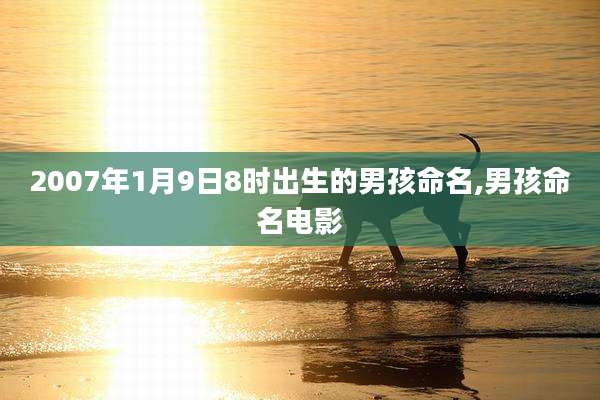 2007年1月9日8时出生的男孩命名,男孩命名电影
