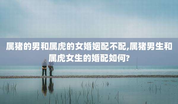 属猪的男和属虎的女婚姻配不配,属猪男生和属虎女生的婚配如何?