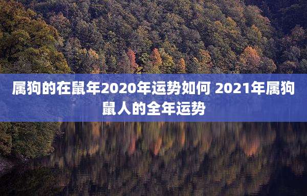 属狗的在鼠年2020年运势如何 2021年属狗鼠人的全年运势
