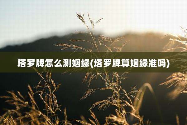 塔罗牌怎么测姻缘(塔罗牌算姻缘准吗)
