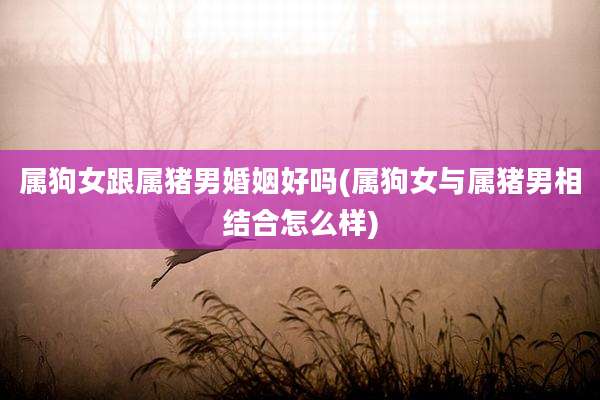 属狗女跟属猪男婚姻好吗(属狗女与属猪男相结合怎么样)