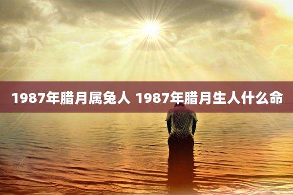1987年腊月属兔人 1987年腊月生人什么命