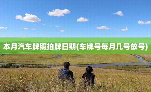 本月汽车牌照拍牌日期(车牌号每月几号放号)