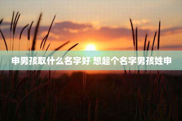 申男孩取什么名字好 想起个名字男孩姓申