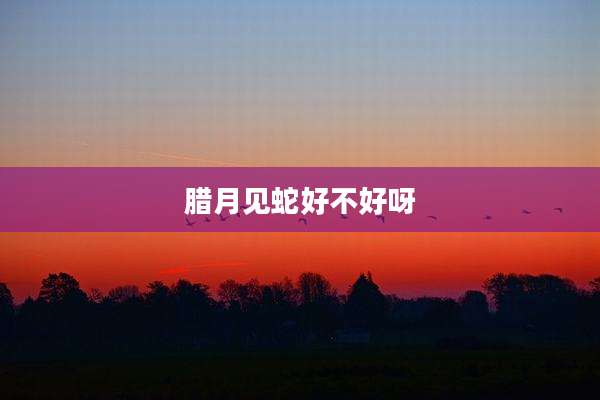 腊月见蛇好不好呀