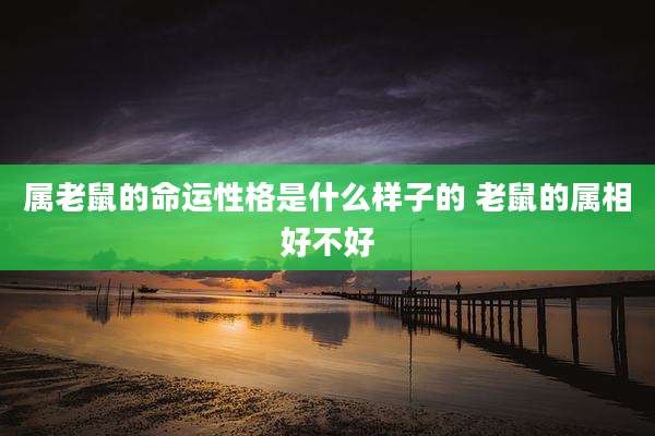 属老鼠的命运性格是什么样子的 老鼠的属相好不好