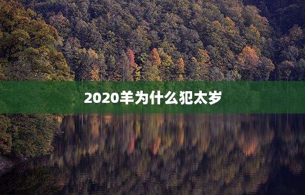 2020羊为什么犯太岁