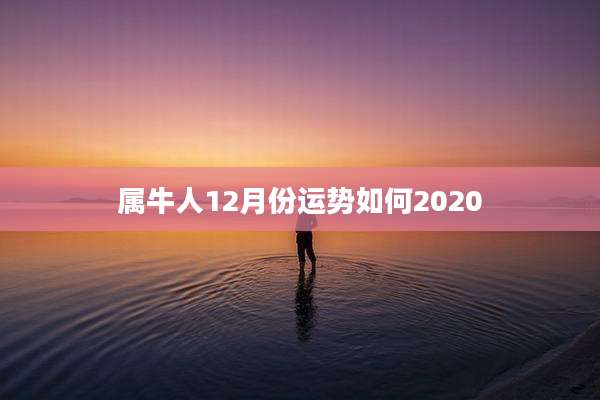 属牛人12月份运势如何2020