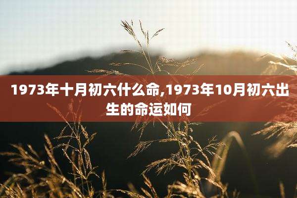 1973年十月初六什么命,1973年10月初六出生的命运如何