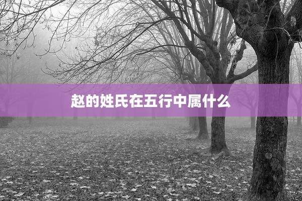 赵的姓氏在五行中属什么