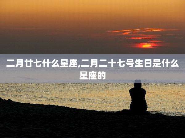 二月廿七什么星座,二月二十七号生日是什么星座的