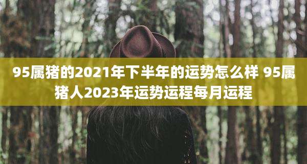 95属猪的2021年下半年的运势怎么样 95属猪人2023年运势运程每月运程