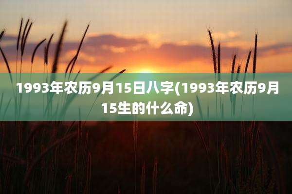 1993年农历9月15日八字(1993年农历9月15生的什么命)