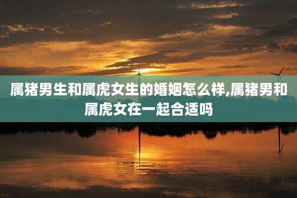 属猪男生和属虎女生的婚姻怎么样,属猪男和属虎女在一起合适吗