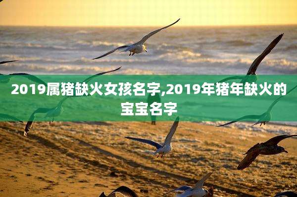 2019属猪缺火女孩名字,2019年猪年缺火的宝宝名字