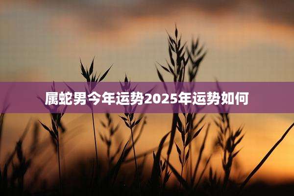属蛇男今年运势2025年运势如何