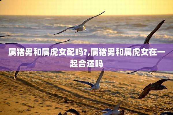 属猪男和属虎女配吗?,属猪男和属虎女在一起合适吗