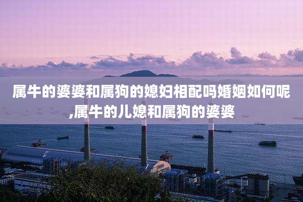 属牛的婆婆和属狗的媳妇相配吗婚姻如何呢,属牛的儿媳和属狗的婆婆
