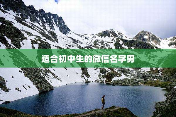 适合初中生的微信名字男