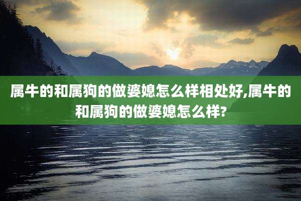 属牛的和属狗的做婆媳怎么样相处好,属牛的和属狗的做婆媳怎么样?