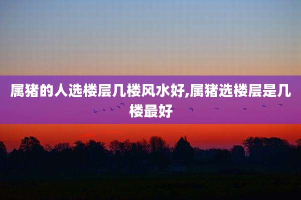 属猪的人选楼层几楼风水好,属猪选楼层是几楼最好