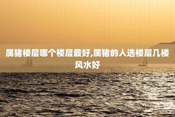 属猪楼层哪个楼层最好,属猪的人选楼层几楼风水好