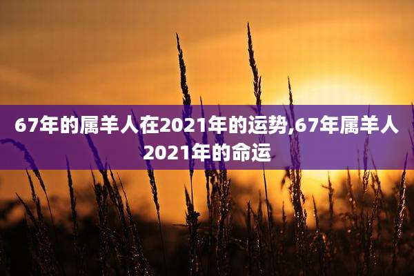 67年的属羊人在2021年的运势,67年属羊人2021年的命运