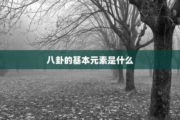 八卦的基本元素是什么