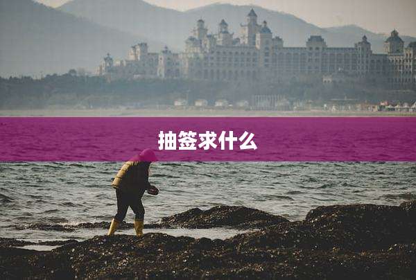 抽签求什么