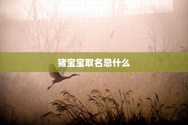猪宝宝取名忌什么