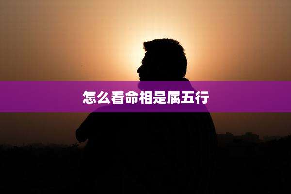 怎么看命相是属五行