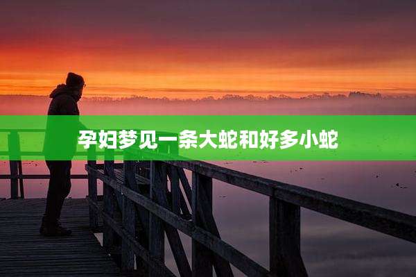 孕妇梦见一条大蛇和好多小蛇