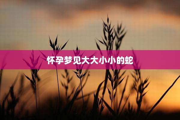 怀孕梦见大大小小的蛇