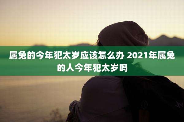 属兔的今年犯太岁应该怎么办 2021年属兔的人今年犯太岁吗