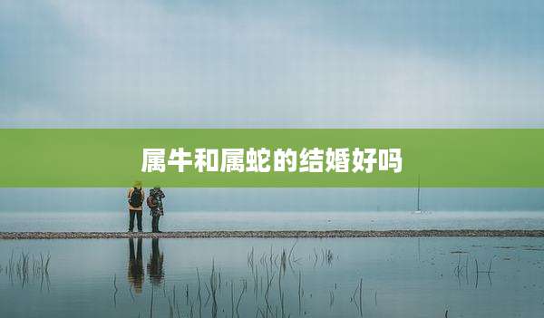 属牛和属蛇的结婚好吗