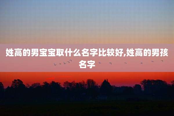 姓高的男宝宝取什么名字比较好,姓高的男孩名字